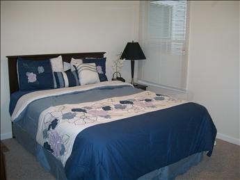 2502 SURF AVENUE UNIT 100 - NORTH WILDWOOD LUXURY CONDO FOR RENT WITH POOL - North Wildwood Vacation Rentals at Island Realty Group - Fasy Real Estate, Wildwood Realtors offering information for Buying and Renting Wildwood Real Estate such as North Wildwood Homes and Condos for Sale and rent, Wildwood homes and Condos for Sale and rent, Wildwood Crest Homes and Condos for Sale and rent, Diamond Beach Homes and Condos for Sale and rent  plus Wildwood Vacation Rentals, North Wildwood Vacation Rentals, Wildwood Crest Vacation Rentals and Diamond Beach Vacation Rentals and also information for renting, dining, having fun  and staying in Wildwood New Jersey.