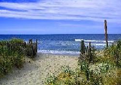 joewilldwood.com , shorerealestatesearch.com , new jersey shore real estate realtors